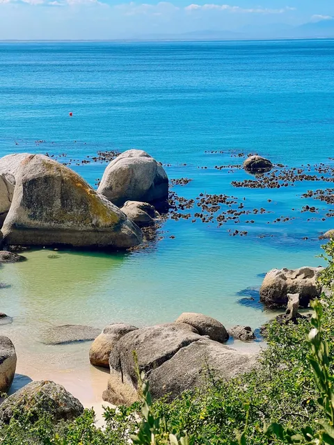 Nature focused trip to Cape Town (August 2025)