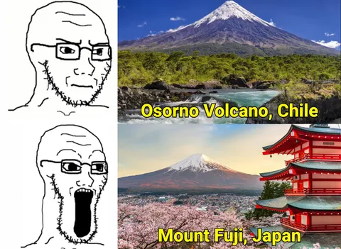 Many people think that just because it's from Japan it's better