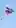 huge Jetpack Cat balloon in the sky