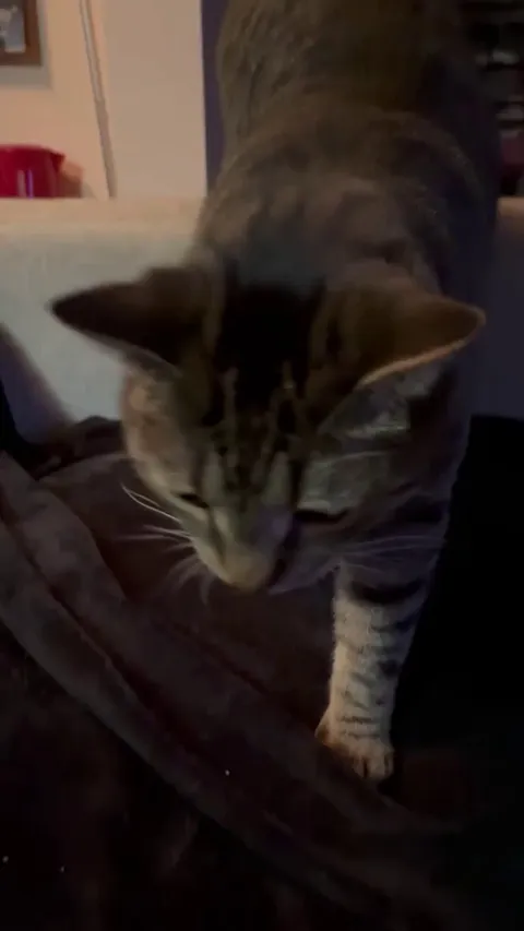 Kisses for all the people in my phone