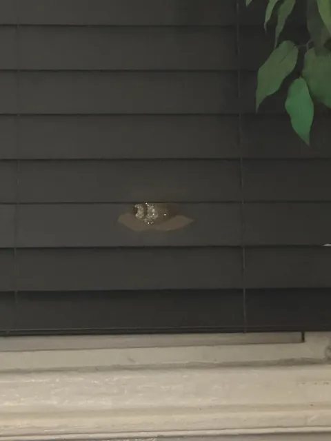 one of my pc’s stopped a bullet and saved my kids life.