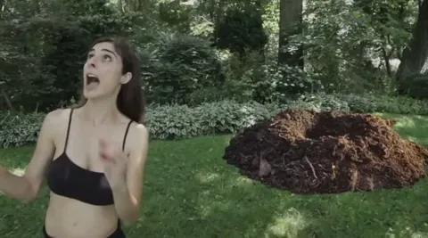 Michelle Trasatti - Beaster Day: Here Comes Peter Cottonhell (2014)