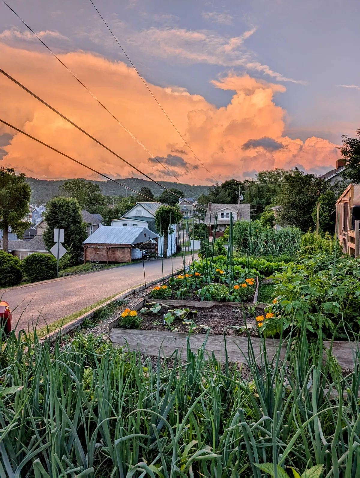 Took this sweet photo last week