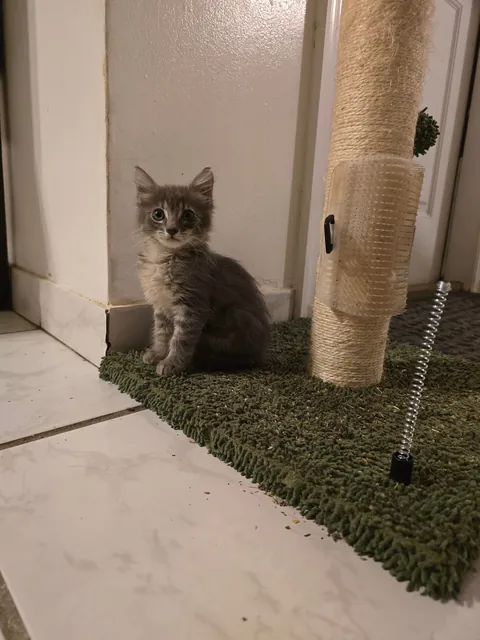 She just keeps getting prettier. Difference in photos is 1 month old and 7 months old