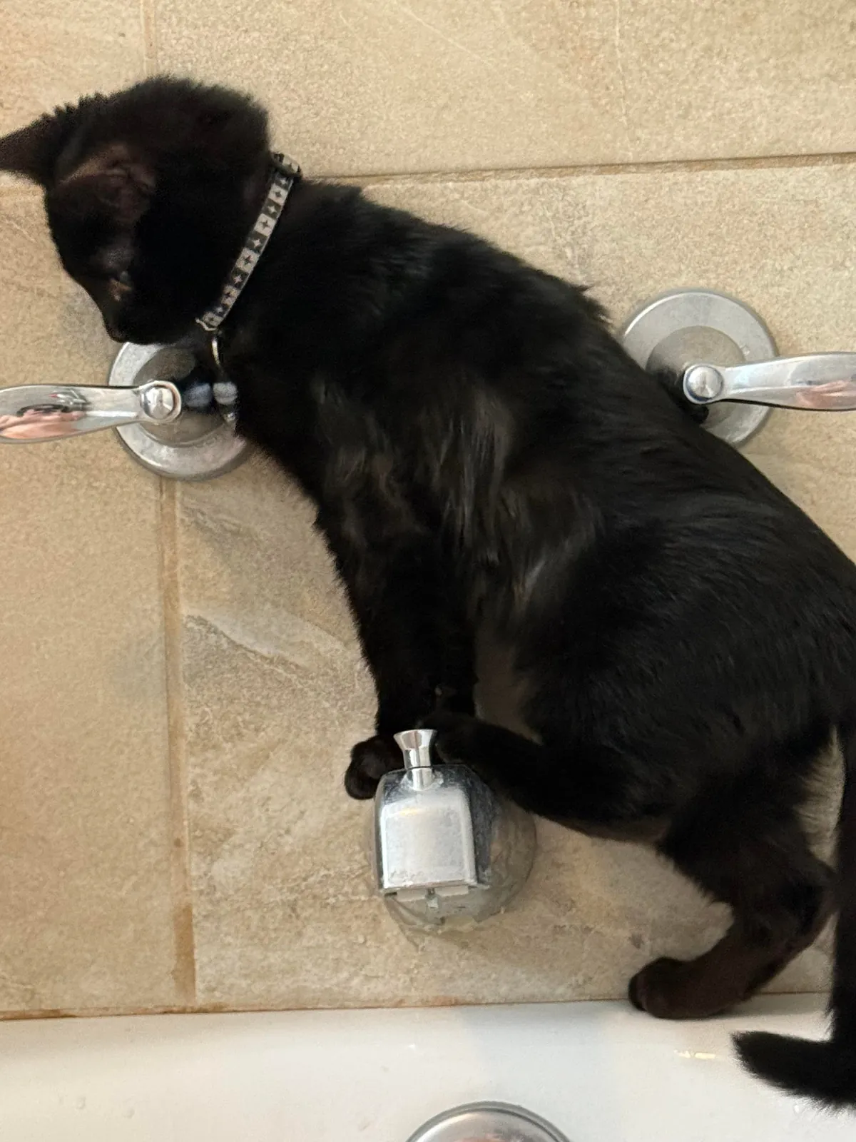 Bobbi has never in her 7 months of life let her hatred of water get in the way of her clinginess.