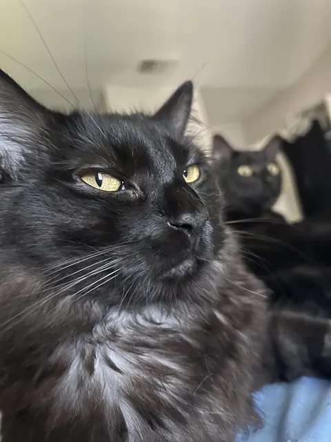 This side eye though 😂