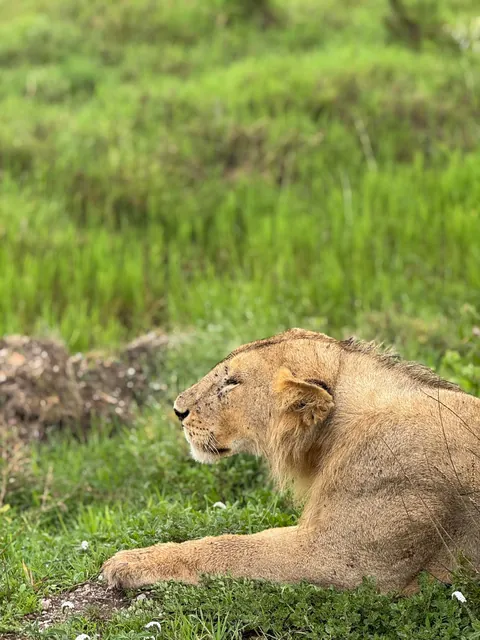 2 weeks of a dream in Tanzania