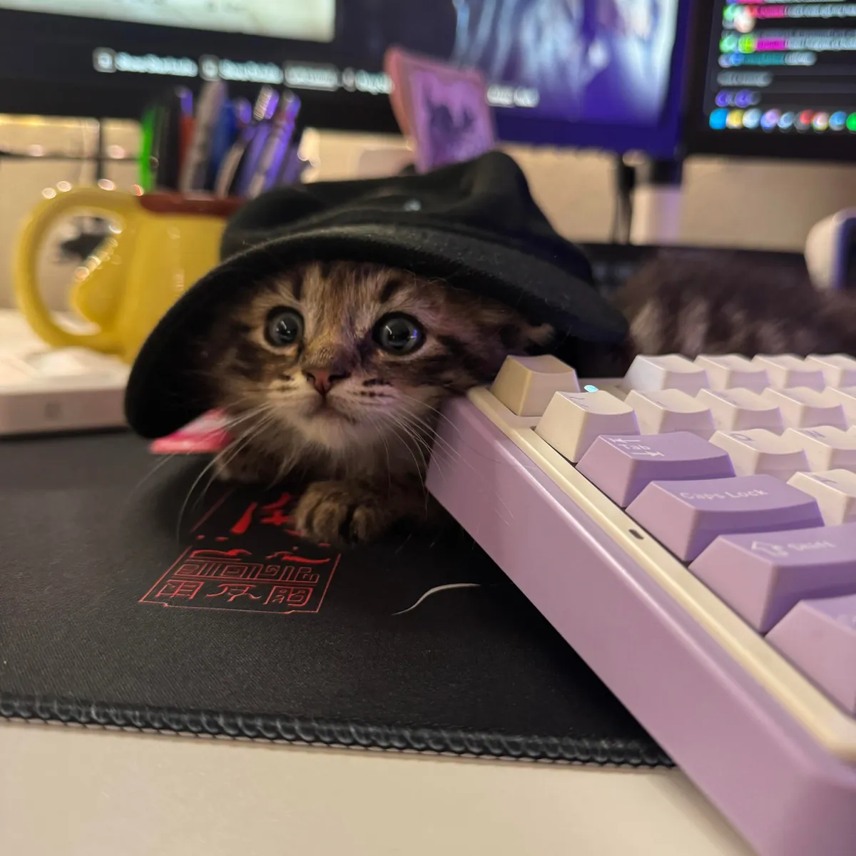 His name is Wilfred and he just stole my entire family’s hearts