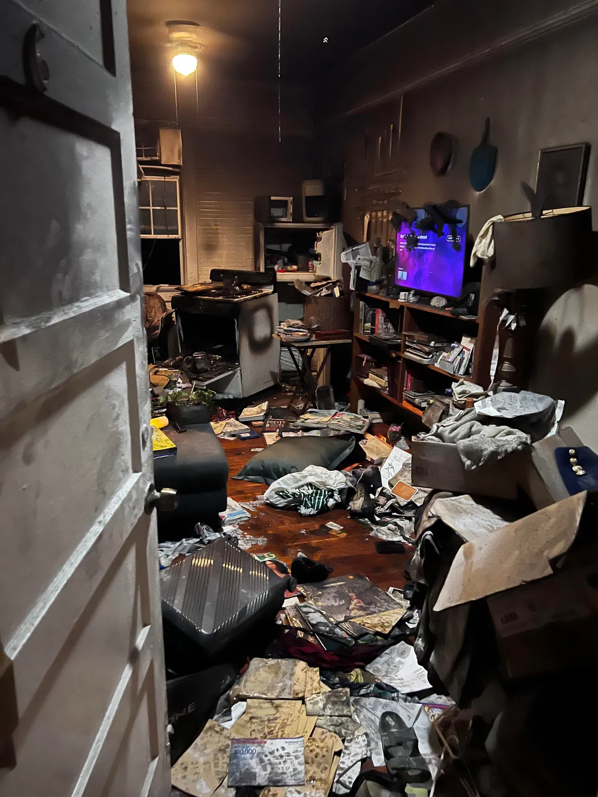 Last Sunday my cats may have saved everyone in my apt bld.