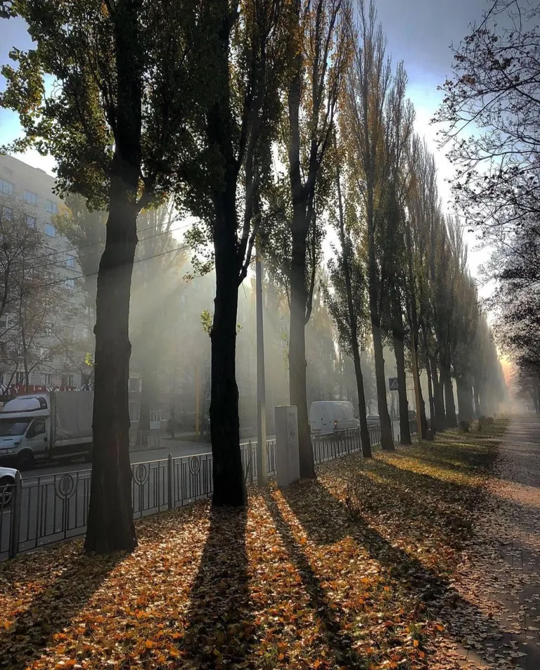 ITAP of a street where i grew up
