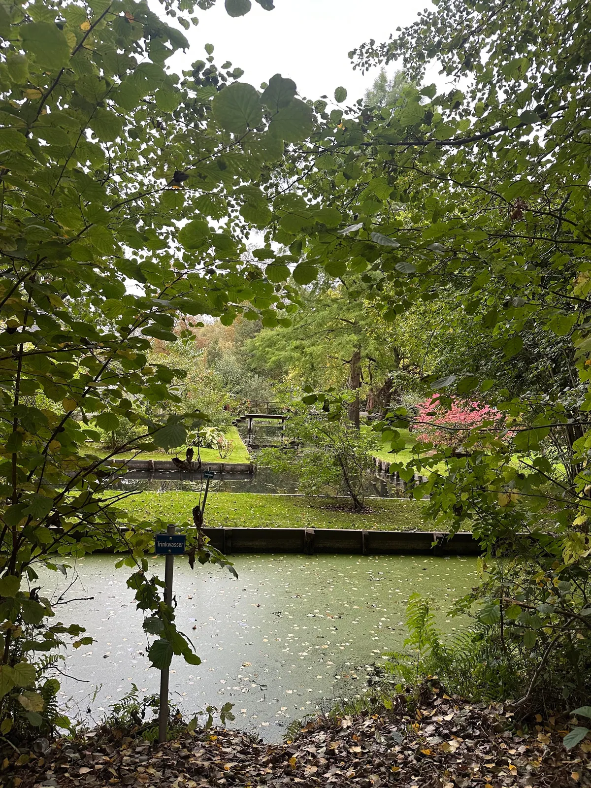 My 2 weeks in Germany, I would move to Berlin tomorrow!