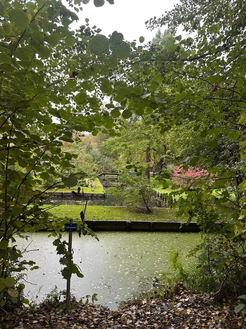 My 2 weeks in Germany, I would move to Berlin tomorrow!