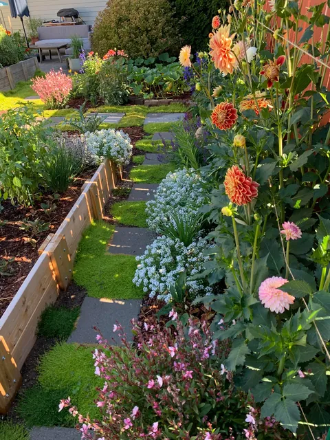 When the Airbnb say there’s a garden side pool and you show up to this