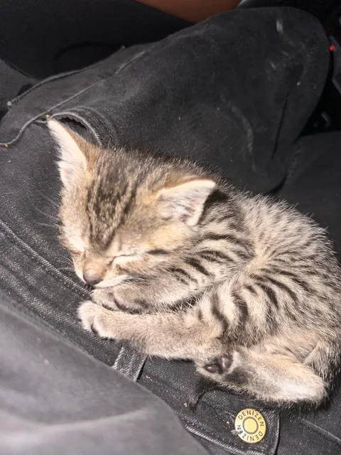 Found this little girl in a dumpster. I think I’ll keep her 🫶🏻 I need to think of a name.