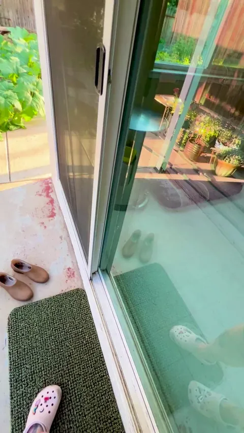 Pretty excited about the volunteer pumpkin that is taking over my back patio🎃🥰