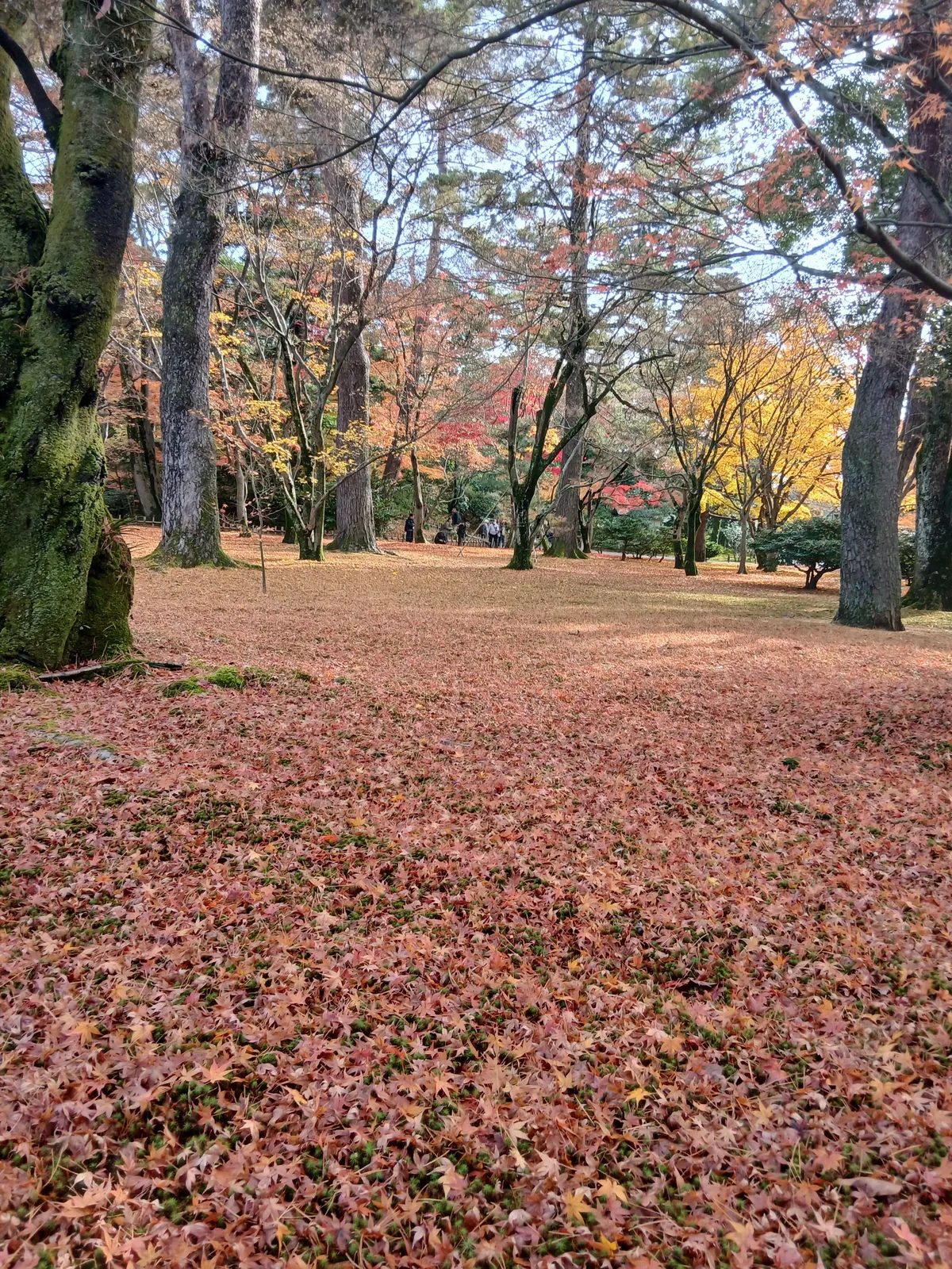 Japan in Autumn