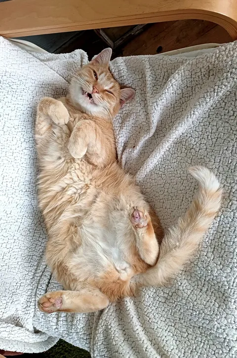 I just love these photos of my sweet boy.