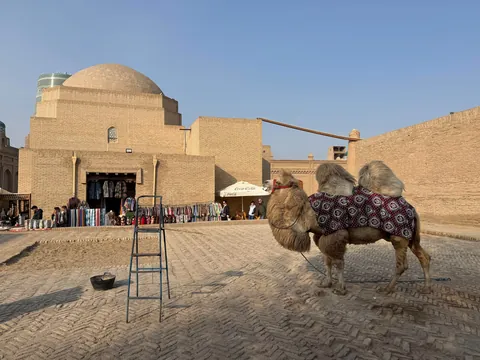 Eight days in Uzbekistan - heart of the Silk Road