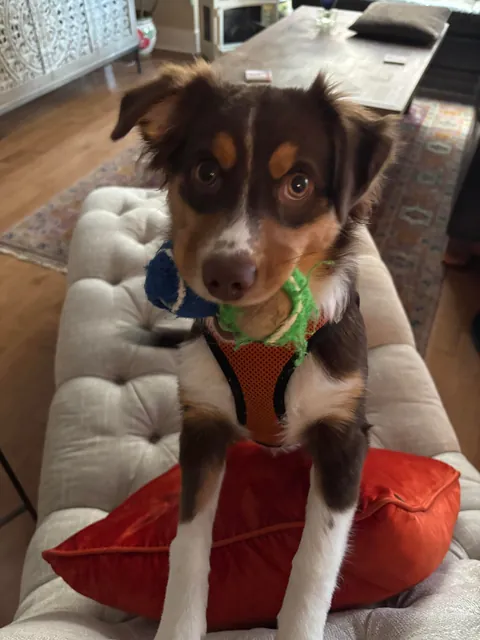 say she’s a good girl 🫵🏻