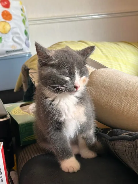 My new daughter❤️