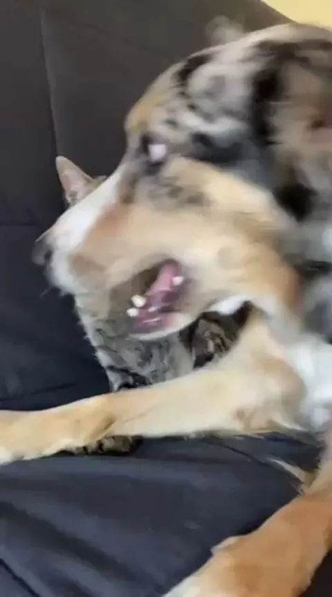 Kind of feels like a one-way relationship...