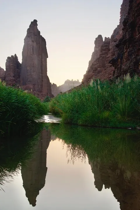 Traveled around Saudi Arabia for 9 days and it was an interesting experience. Trip report below