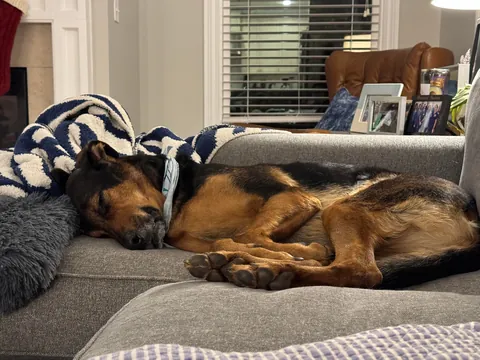 It’s Gary! My goofy, handsome, spoiled boy