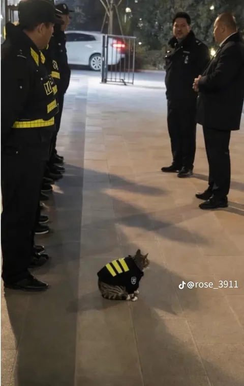 First time doing this job ( not OC )