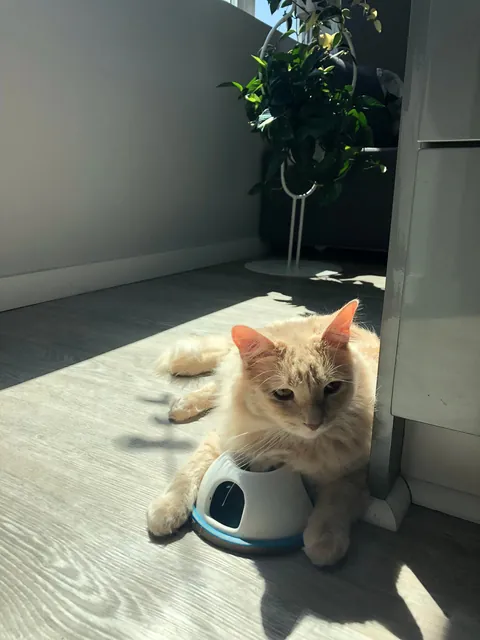 Gahwd I love him 💕