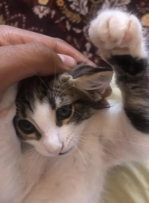 He’s crazy… but in a cute way.