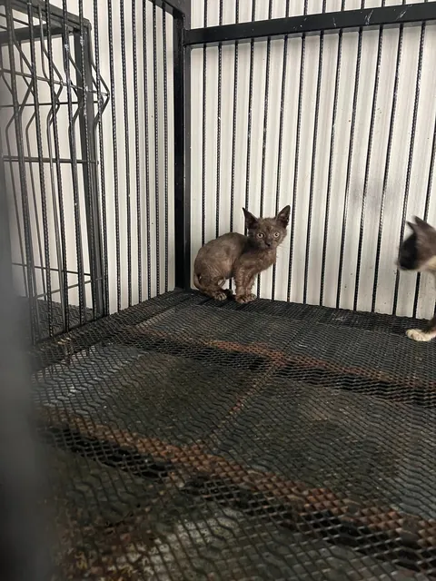 How it started vs how it’s going