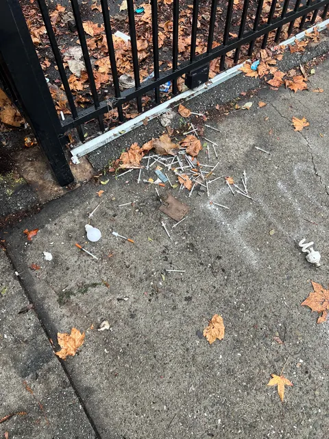 I clean up illegal dumping in Oakland for fun. This pile had more than 40 syringes.