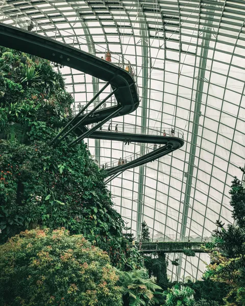 The Cloud Forest is part of Singapore's ambitious transformation to become A City in a Garden