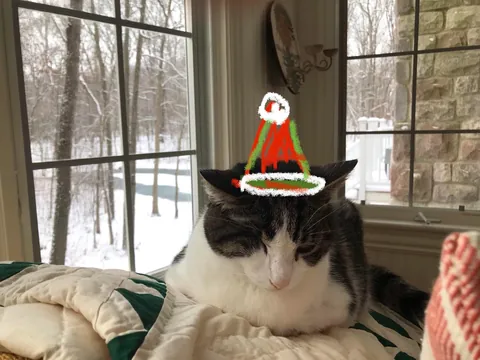 She held on for her 20th Christmas before letting go