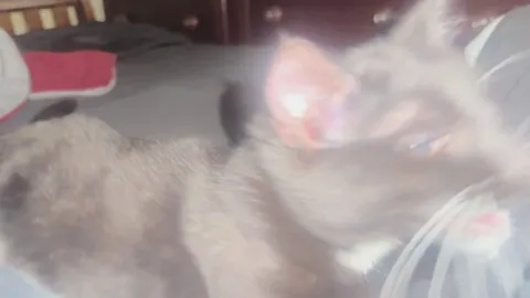 Why does she hold her mouth open so much? 😂