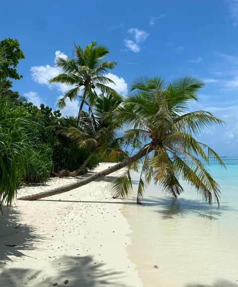 Spent a couple of days on a local Maldivian island and loved every second of it.