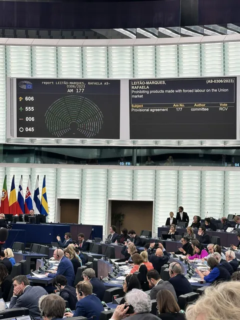 European Parliament just passed the Forced Labour Ban, prohibiting products made with forced labour into the EU. 555 votes in favor, 6 against and 45 abstentions. Huge consequences for countries like China and India