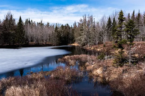 New Brunswick, Canada, in April [1600x1068] [OC]