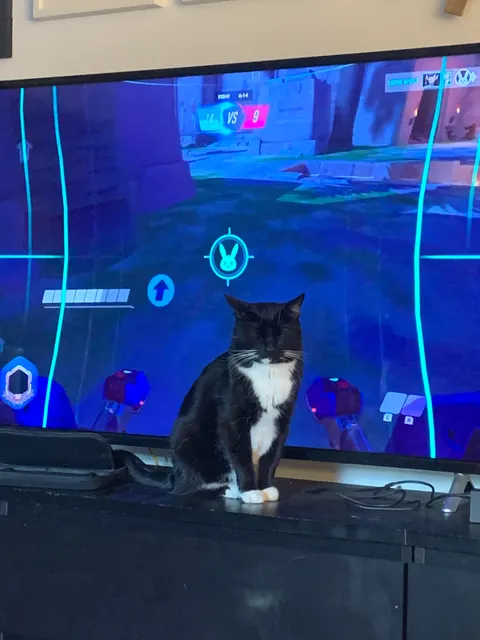 You can’t find somewhere else to take a standing-up nap?!