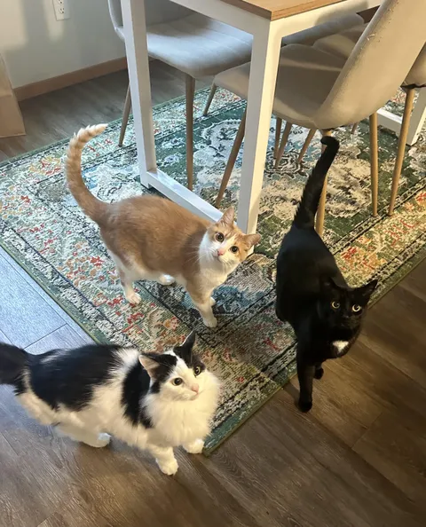 I interrupted their meeting… should I be worried?
