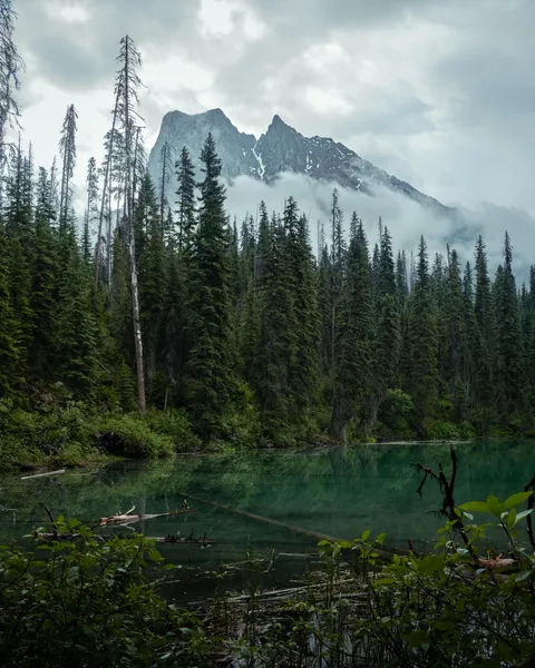 Peaceful Pond and Mount Burgess on a Cloudy Morning [OC] [3802x4752]