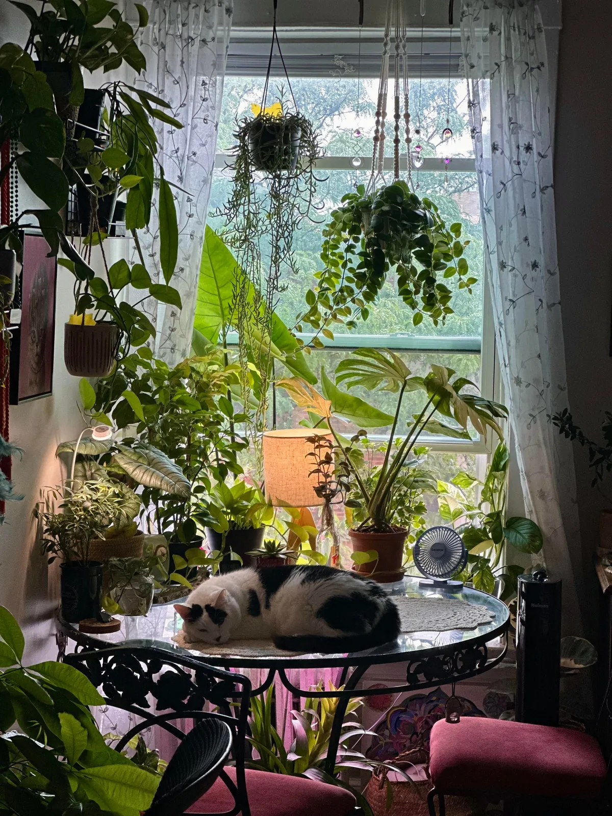 This is our little hideaway in this big, crazy world