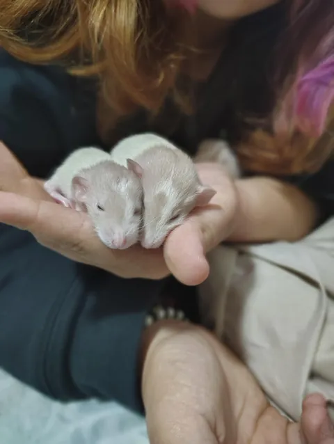 Souplings are two weeks old now