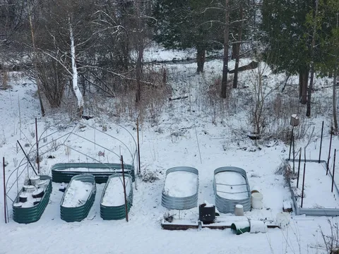 How's your garden going?  Mine's just GREAT...