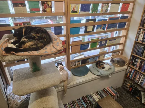 Five bookstore employees, all worked to the point of exhaustion