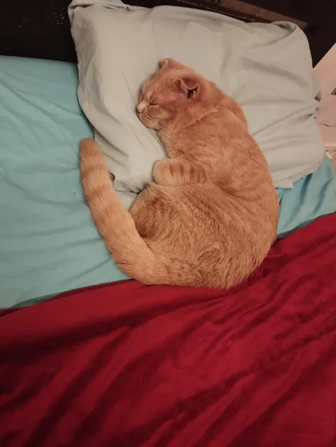 Got up to go to the bathroom and came back to this...