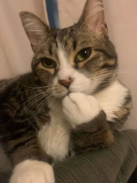 You NEED to swipe...