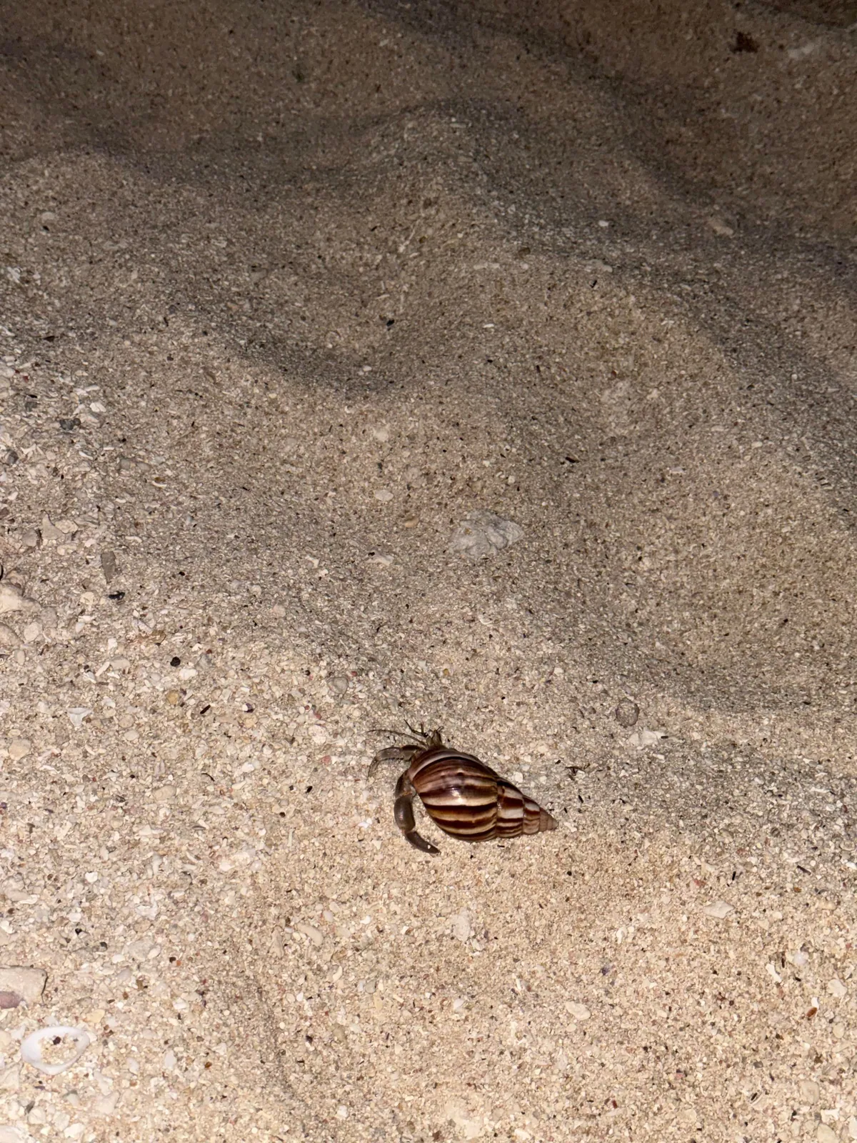 8 days vacation in Mauritius.