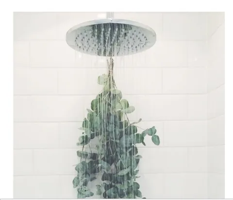Tie some eucalyptus to your shower head. It will make an amazing scent with the steam.
