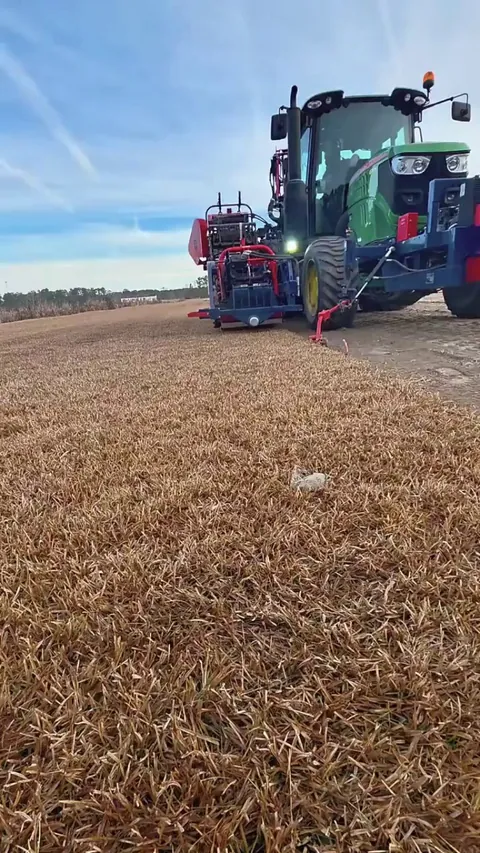 Harvesting centipede